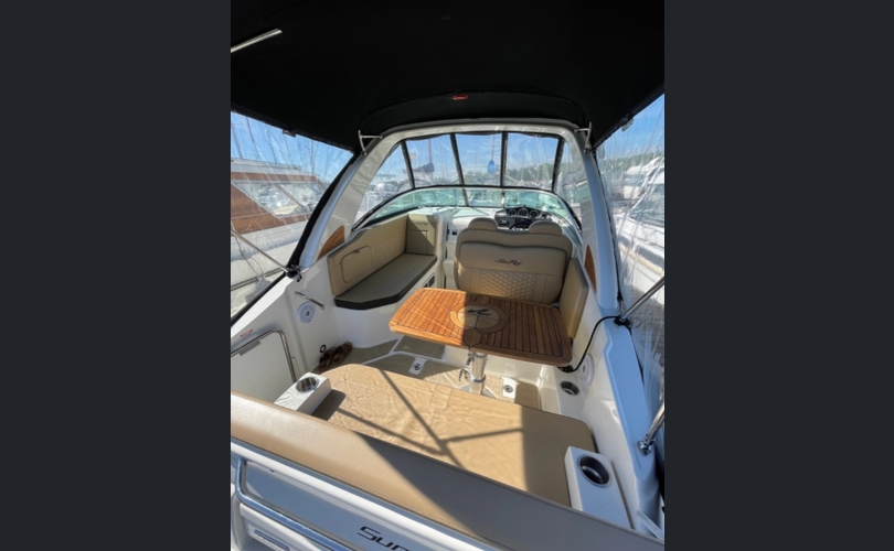 Sea Ray 265 Sundancer-kuva-7